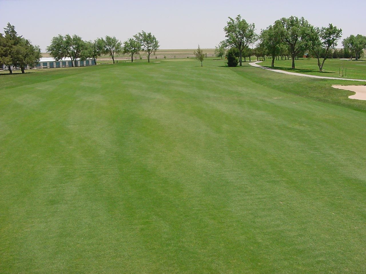 Middle of Hole 3 - 1