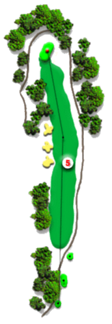 Map of Hole 5